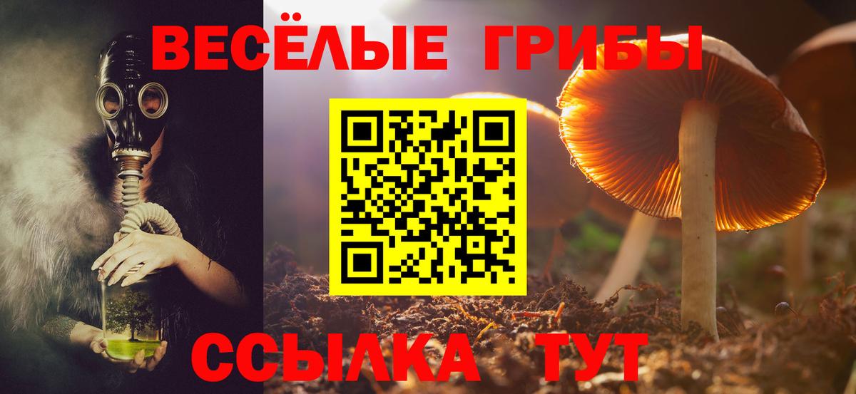 Псилоцибиновые грибы прущие грибы Владивосток