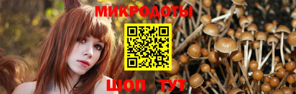 где купить наркоту  Псилоцибиновые грибы GOLDEN TEACHER  Владивосток  Вход с VPN  Галлюциногенные грибы GOLDEN TEACHER 